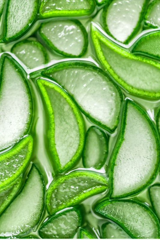 Aloe invigorating Creamy Shower Gel n°6