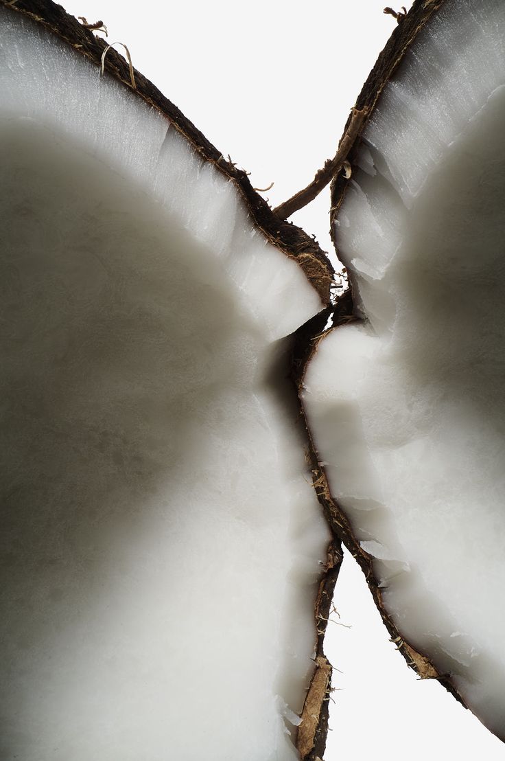 Coconut Plumping Balm