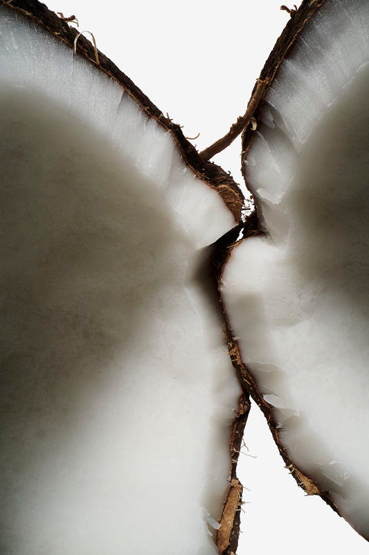 Coconut Plumping Balm