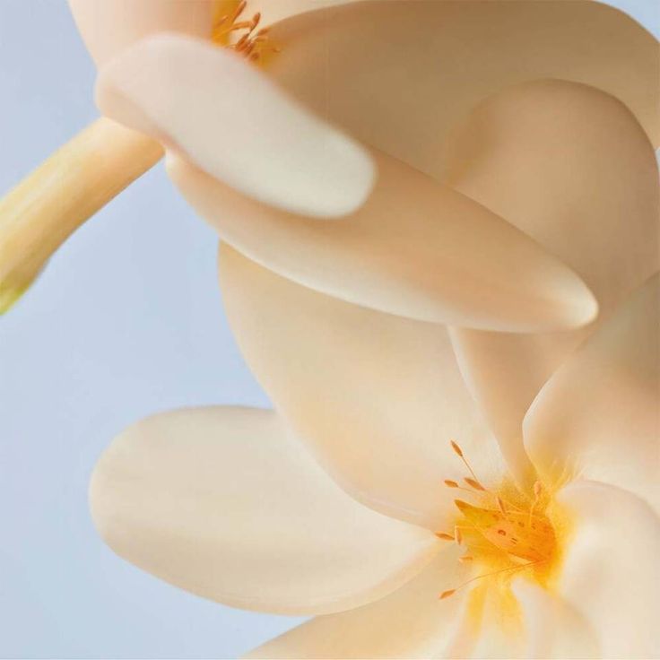 Gel douche crémeux Fleur de Monoï 05