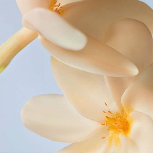 Gel douche crémeux Fleur de Monoï 05