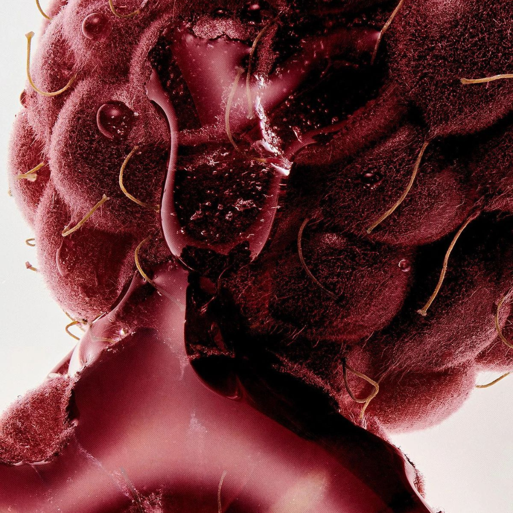 Baume repulpant FRUITS ROUGES