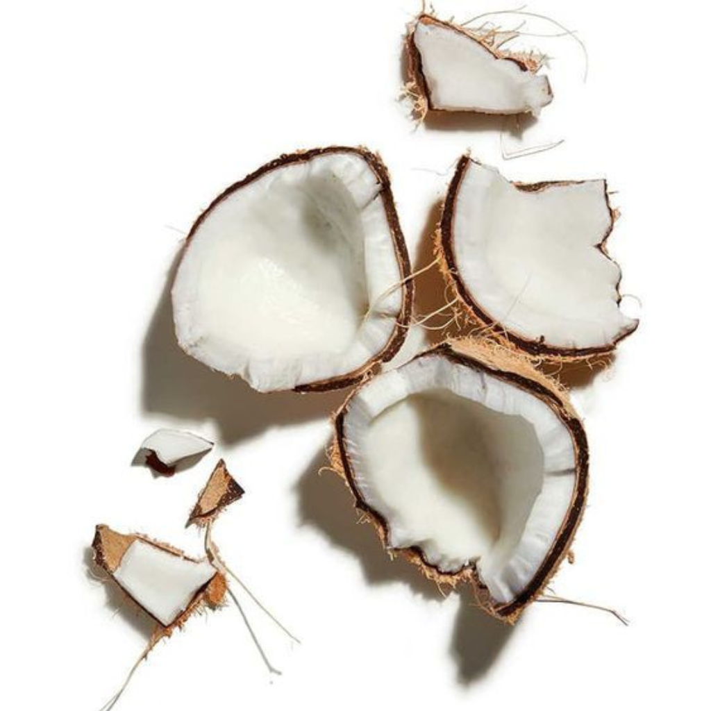 Plumping Coconut Lip Balm