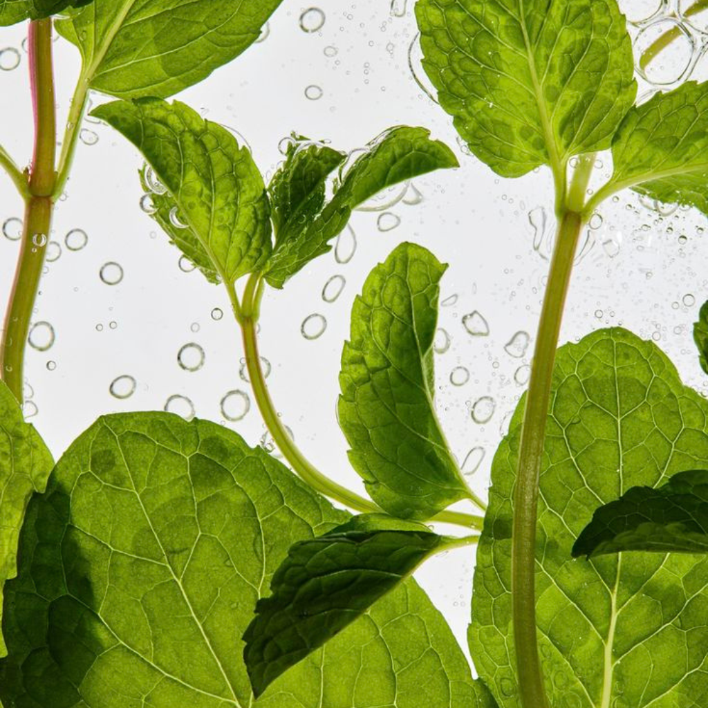 Plumping Mint Lip Balm