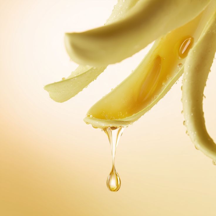 Crème Mains Fleur de Monoï  05 - 50ml