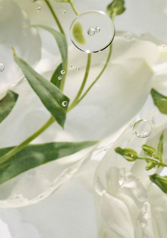 Gel douche crémeux Thé Blanc 04