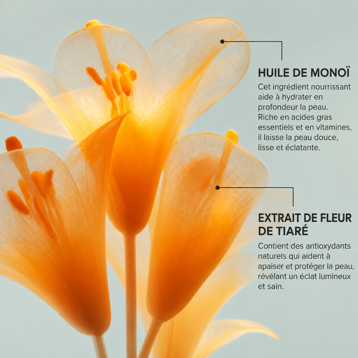 Huile De Douche Fleur De Monoi