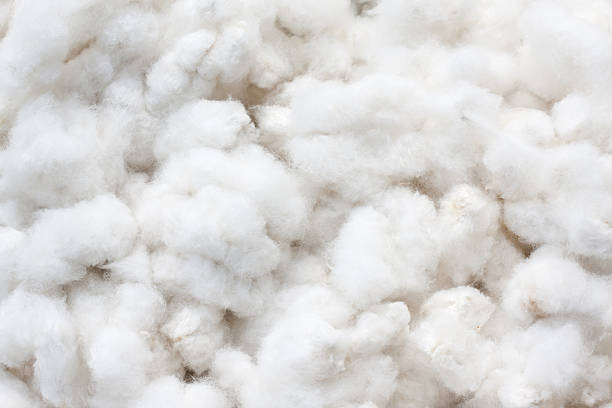 L'imparfait Crème de Coton