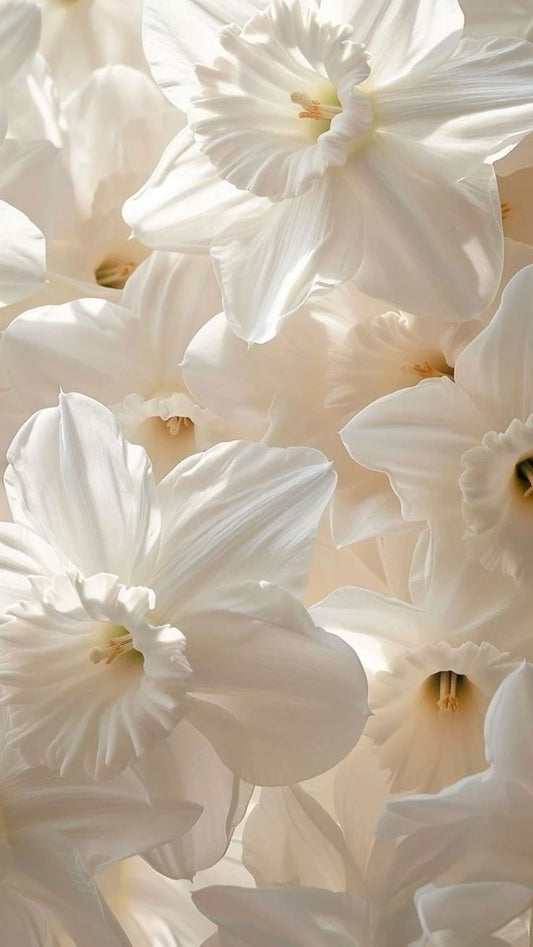 Thé Blanc Creamy Shower Gel n°4