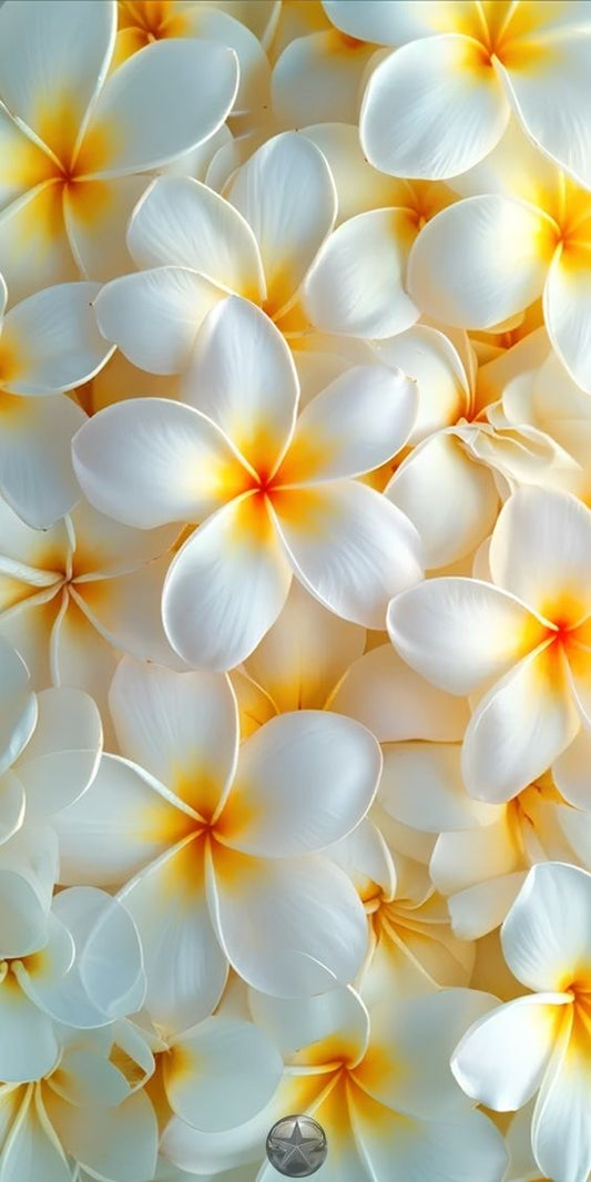 Fiore di Monoi 05