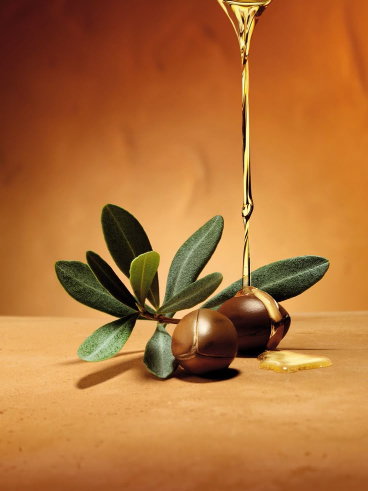 Gel douche crémeux archive Elixir d'Argan 10